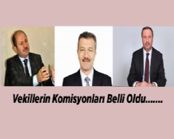 AK Parti Krkkale Vekillerinin Komisyonlar Belli Oldu